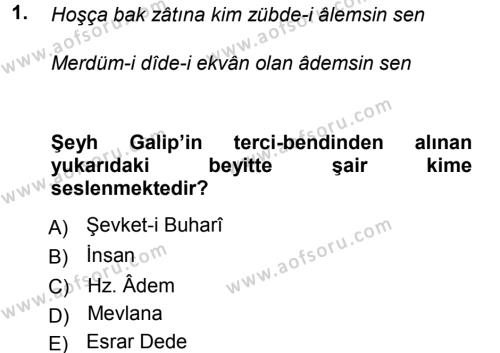 XVIII. Yüzyıl Türk Edebiyatı Dersi 2012 - 2013 Yılı (Final) Dönem Sonu Sınavı 1. Soru