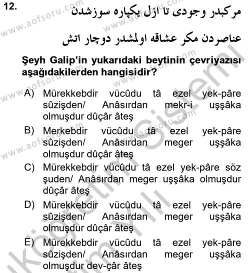 XVIII. Yüzyıl Türk Edebiyatı Dersi 2016 - 2017 Yılı 3 Ders Sınavı 12. Soru