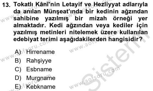 XVIII. Yüzyıl Türk Edebiyatı Dersi 2022 - 2023 Yılı (Final) Dönem Sonu Sınavı 13. Soru