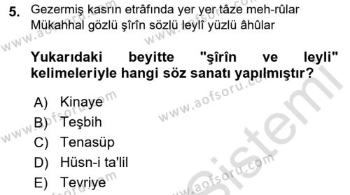 XVIII. Yüzyıl Türk Edebiyatı Dersi 2022 - 2023 Yılı (Final) Dönem Sonu Sınavı 5. Soru