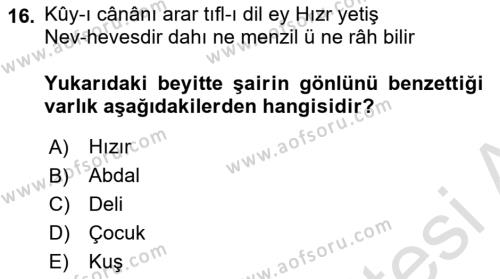 XVIII. Yüzyıl Türk Edebiyatı Dersi 2022 - 2023 Yılı Yaz Okulu Sınavı 16. Soru