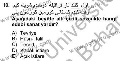XIX. Yüzyıl Türk Edebiyatı Dersi 2012 - 2013 Yılı (Vize) Ara Sınavı 10. Soru