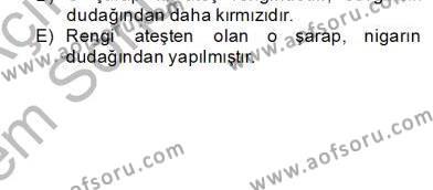 XIX. Yüzyıl Türk Edebiyatı Dersi 2012 - 2013 Yılı (Final) Dönem Sonu Sınavı 14. Soru