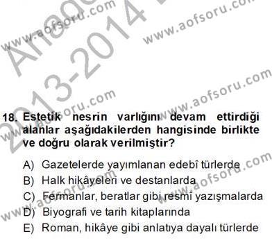 XIX. Yüzyıl Türk Edebiyatı Dersi 2012 - 2013 Yılı (Final) Dönem Sonu Sınavı 18. Soru