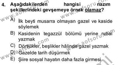 XIX. Yüzyıl Türk Edebiyatı Dersi 2013 - 2014 Yılı (Vize) Ara Sınavı 4. Soru