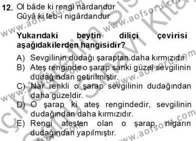 XIX. Yüzyıl Türk Edebiyatı Dersi 2013 - 2014 Yılı (Final) Dönem Sonu Sınavı 12. Soru