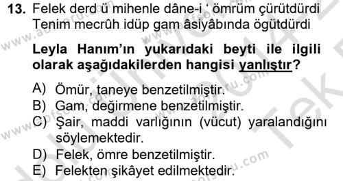 XIX. Yüzyıl Türk Edebiyatı Dersi 2014 - 2015 Yılı Tek Ders Sınavı 13. Soru