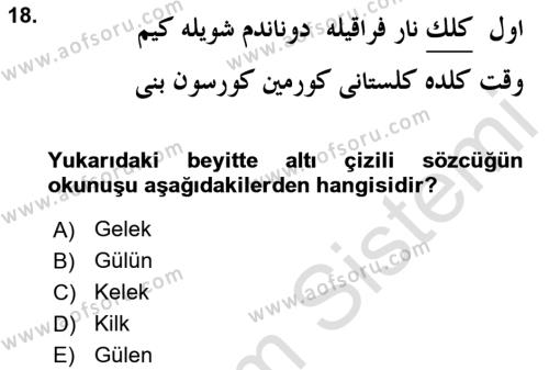 XIX. Yüzyıl Türk Edebiyatı Dersi 2018 - 2019 Yılı 3 Ders Sınavı 18. Soru