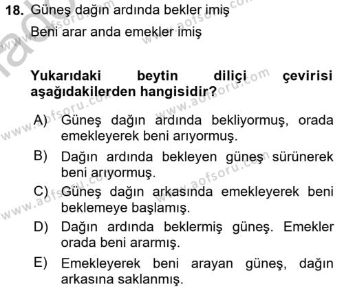 XIX. Yüzyıl Türk Edebiyatı Dersi 2018 - 2019 Yılı Yaz Okulu Sınavı 18. Soru