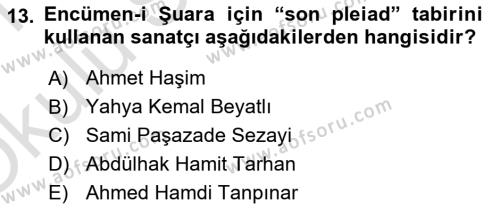 XIX. Yüzyıl Türk Edebiyatı Dersi 2020 - 2021 Yılı Yaz Okulu Sınavı 13. Soru