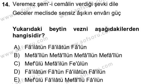 XIX. Yüzyıl Türk Edebiyatı Dersi 2020 - 2021 Yılı Yaz Okulu Sınavı 14. Soru