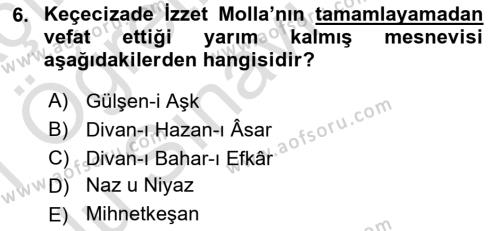 XIX. Yüzyıl Türk Edebiyatı Dersi 2020 - 2021 Yılı Yaz Okulu Sınavı 6. Soru