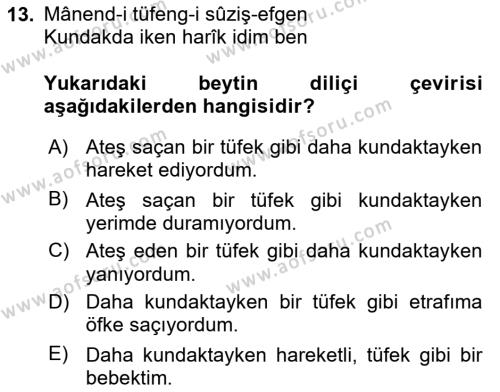 XIX. Yüzyıl Türk Edebiyatı Dersi 2021 - 2022 Yılı Yaz Okulu Sınavı 13. Soru