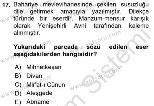 XIX. Yüzyıl Türk Edebiyatı Dersi 2021 - 2022 Yılı Yaz Okulu Sınavı 17. Soru