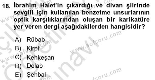 XIX. Yüzyıl Türk Edebiyatı Dersi 2021 - 2022 Yılı Yaz Okulu Sınavı 18. Soru