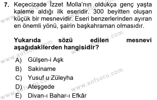 XIX. Yüzyıl Türk Edebiyatı Dersi 2021 - 2022 Yılı Yaz Okulu Sınavı 7. Soru