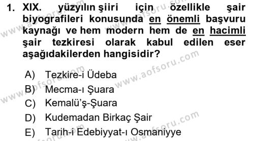 XIX. Yüzyıl Türk Edebiyatı Dersi 2022 - 2023 Yılı Yaz Okulu Sınavı 1. Soru