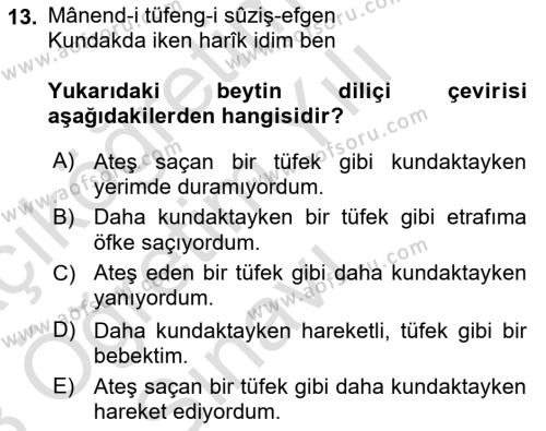 XIX. Yüzyıl Türk Edebiyatı Dersi 2022 - 2023 Yılı Yaz Okulu Sınavı 13. Soru