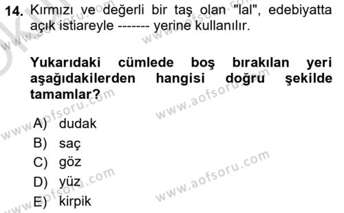 XIX. Yüzyıl Türk Edebiyatı Dersi 2022 - 2023 Yılı Yaz Okulu Sınavı 14. Soru