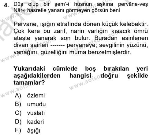 XIX. Yüzyıl Türk Edebiyatı Dersi 2022 - 2023 Yılı Yaz Okulu Sınavı 4. Soru