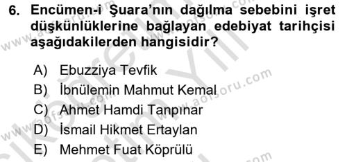 XIX. Yüzyıl Türk Edebiyatı Dersi 2022 - 2023 Yılı Yaz Okulu Sınavı 6. Soru