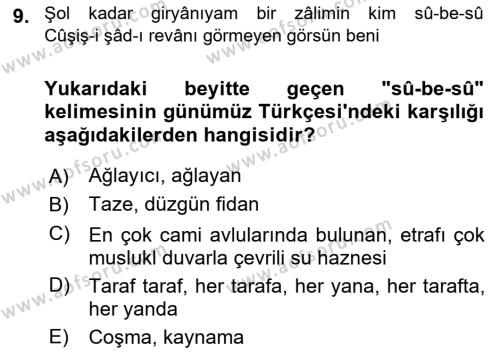 XIX. Yüzyıl Türk Edebiyatı Dersi 2022 - 2023 Yılı Yaz Okulu Sınavı 9. Soru