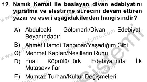 Cumhuriyet Dönemi Türk Şiiri Dersi 2016 - 2017 Yılı 3 Ders Sınavı 12. Soru
