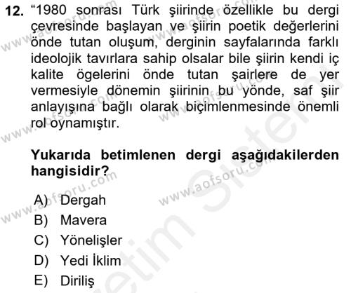 Cumhuriyet Dönemi Türk Şiiri Dersi 2017 - 2018 Yılı 3 Ders Sınavı 12. Soru