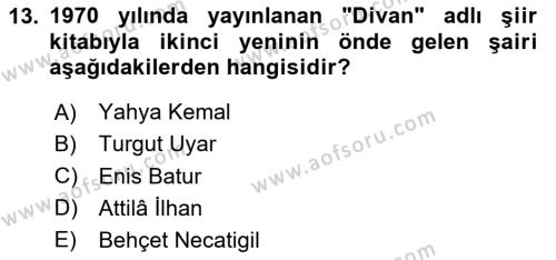 Cumhuriyet Dönemi Türk Şiiri Dersi 2020 - 2021 Yılı Yaz Okulu Sınavı 13. Soru