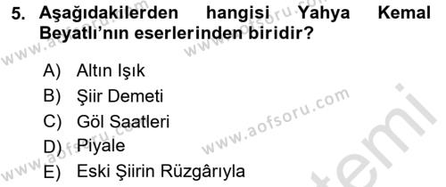 Cumhuriyet Dönemi Türk Şiiri Dersi 2020 - 2021 Yılı Yaz Okulu Sınavı 5. Soru