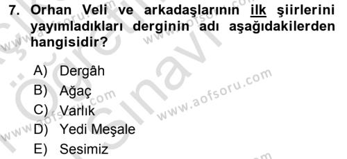 Cumhuriyet Dönemi Türk Şiiri Dersi 2020 - 2021 Yılı Yaz Okulu Sınavı 7. Soru