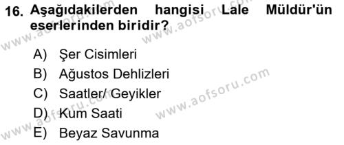 Cumhuriyet Dönemi Türk Şiiri Dersi 2021 - 2022 Yılı (Final) Dönem Sonu Sınavı 16. Soru