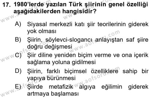 Cumhuriyet Dönemi Türk Şiiri Dersi 2021 - 2022 Yılı Yaz Okulu Sınavı 17. Soru