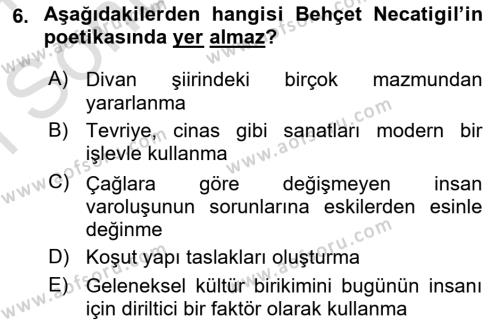 Cumhuriyet Dönemi Türk Şiiri Dersi 2023 - 2024 Yılı (Final) Dönem Sonu Sınavı 6. Soru