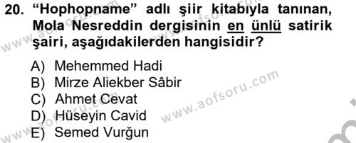 Çağdaş Türk Edebiyatları 1 Dersi 2012 - 2013 Yılı (Vize) Ara Sınavı 20. Soru