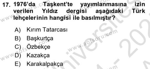 Çağdaş Türk Edebiyatları 1 Dersi 2024 - 2025 Yılı (Vize) Ara Sınavı 17. Soru