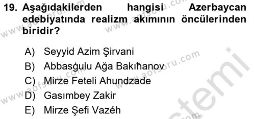 Çağdaş Türk Edebiyatları 1 Dersi 2024 - 2025 Yılı (Vize) Ara Sınavı 19. Soru