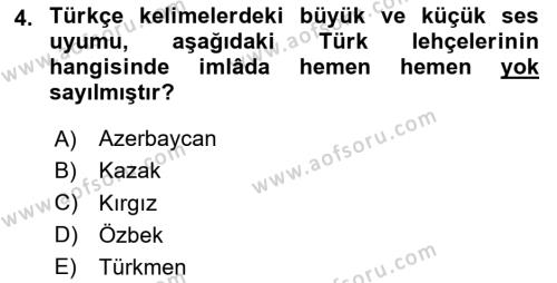 Çağdaş Türk Edebiyatları 1 Dersi 2024 - 2025 Yılı (Vize) Ara Sınavı 4. Soru