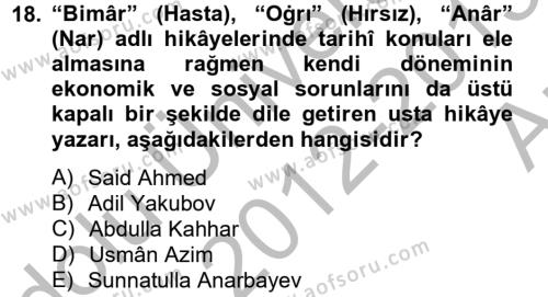 Çağdaş Türk Edebiyatları 2 Dersi 2012 - 2013 Yılı (Vize) Ara Sınavı 18. Soru