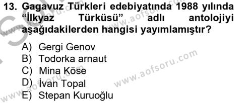 Çağdaş Türk Edebiyatları 2 Dersi 2012 - 2013 Yılı (Final) Dönem Sonu Sınavı 13. Soru