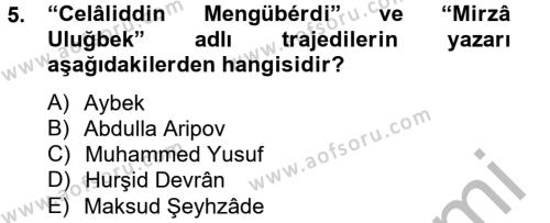 Çağdaş Türk Edebiyatları 2 Dersi 2012 - 2013 Yılı (Final) Dönem Sonu Sınavı 5. Soru