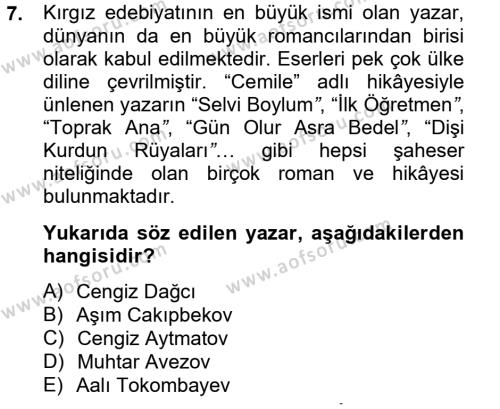 Çağdaş Türk Edebiyatları 2 Dersi 2012 - 2013 Yılı (Final) Dönem Sonu Sınavı 7. Soru