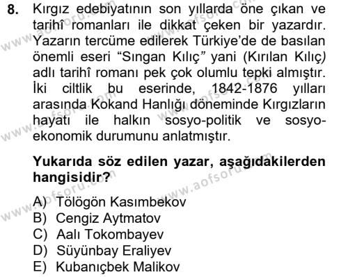 Çağdaş Türk Edebiyatları 2 Dersi 2012 - 2013 Yılı (Final) Dönem Sonu Sınavı 8. Soru