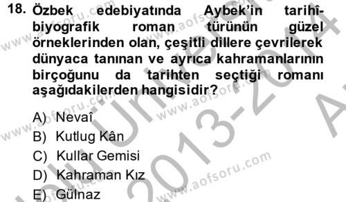 Çağdaş Türk Edebiyatları 2 Dersi 2013 - 2014 Yılı (Vize) Ara Sınavı 18. Soru