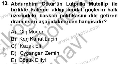 Çağdaş Türk Edebiyatları 2 Dersi 2013 - 2014 Yılı (Final) Dönem Sonu Sınavı 13. Soru