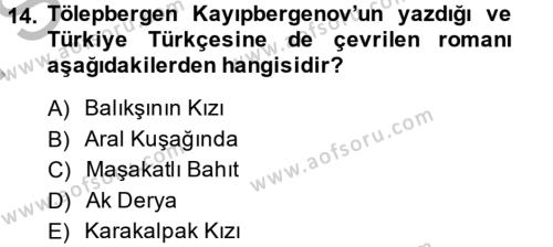 Çağdaş Türk Edebiyatları 2 Dersi 2013 - 2014 Yılı (Final) Dönem Sonu Sınavı 14. Soru