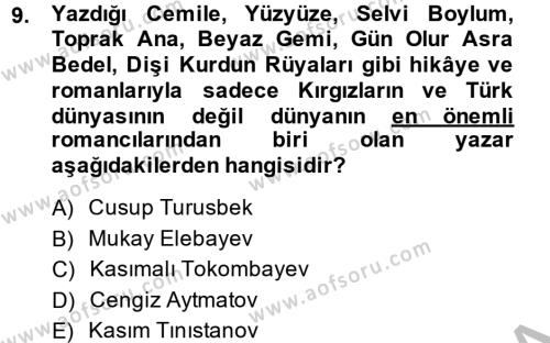 Çağdaş Türk Edebiyatları 2 Dersi 2013 - 2014 Yılı (Final) Dönem Sonu Sınavı 9. Soru