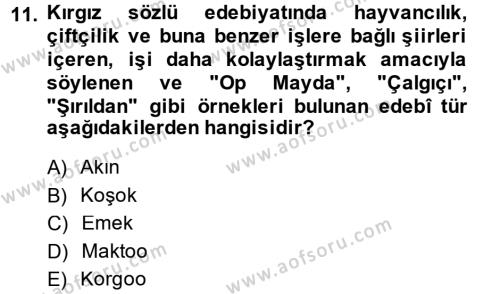 Çağdaş Türk Edebiyatları 2 Dersi 2013 - 2014 Yılı Tek Ders Sınavı 11. Soru