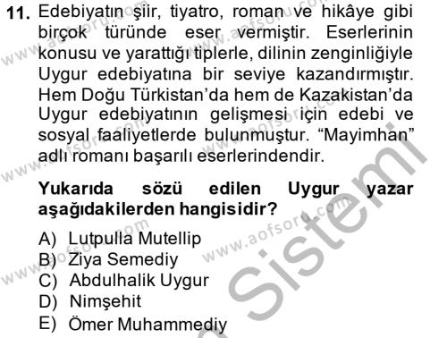 Çağdaş Türk Edebiyatları 2 Dersi 2014 - 2015 Yılı (Final) Dönem Sonu Sınavı 11. Soru