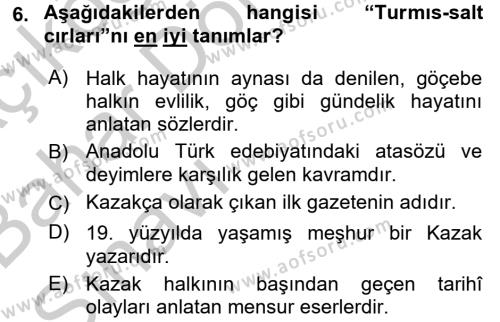 Çağdaş Türk Edebiyatları 2 Dersi 2016 - 2017 Yılı (Vize) Ara Sınavı 6. Soru